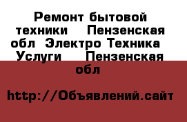 Ремонт бытовой техники. - Пензенская обл. Электро-Техника » Услуги   . Пензенская обл.